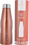 ΘΕΡΜΟΣ TRAVEL FLASK SAVE THE AEGEAN 500ml ROSE GOLD